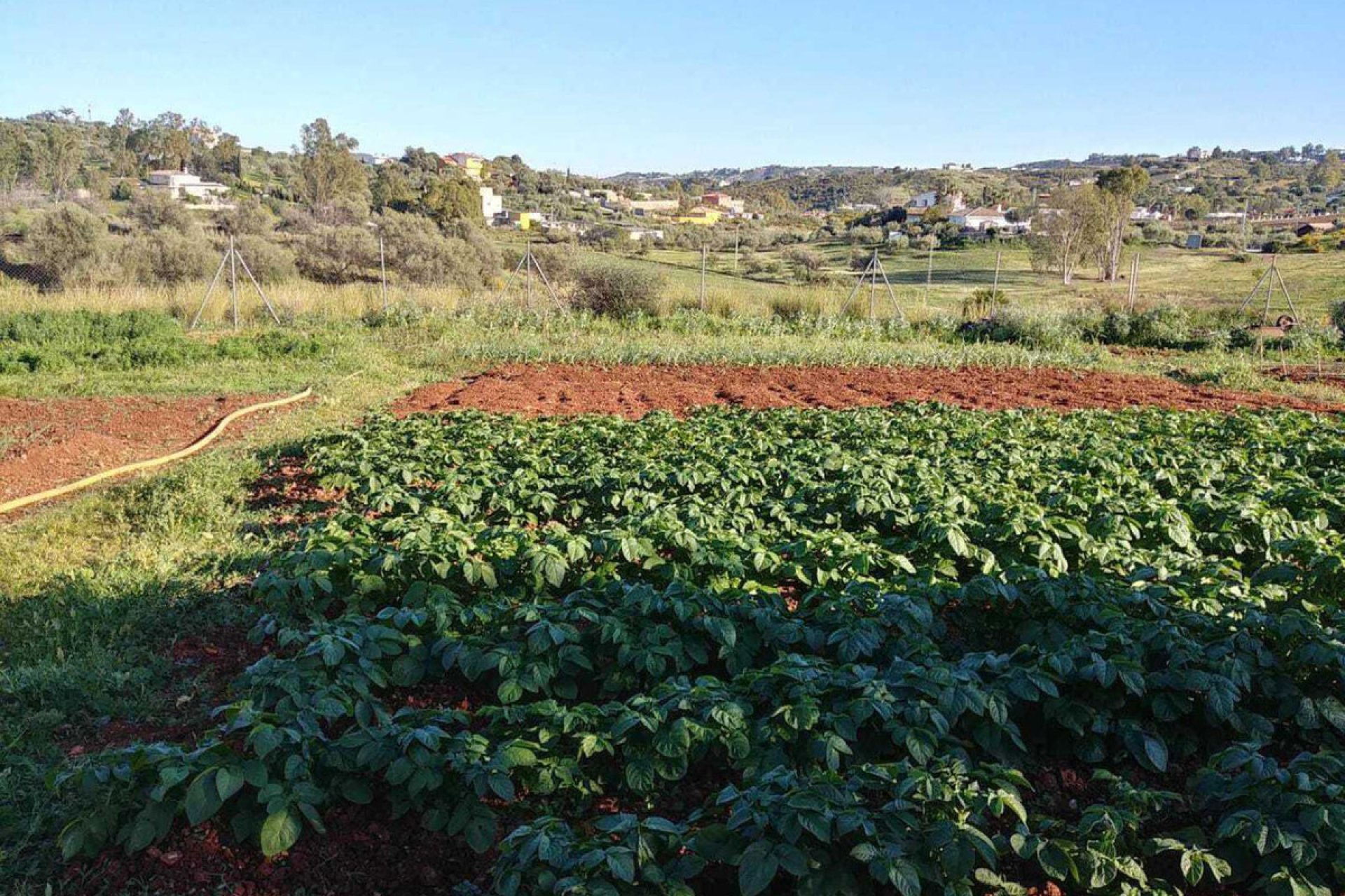 Resale - House - Finca - Cortijo - Mijas - Entrerrios