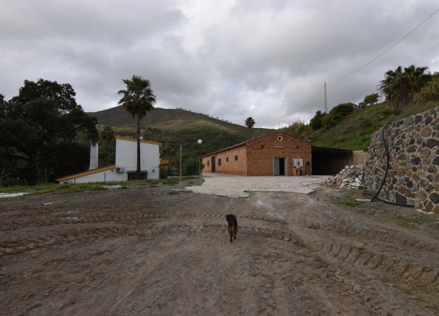 Resale - House - Finca - Cortijo - Mijas - Mijas Centro