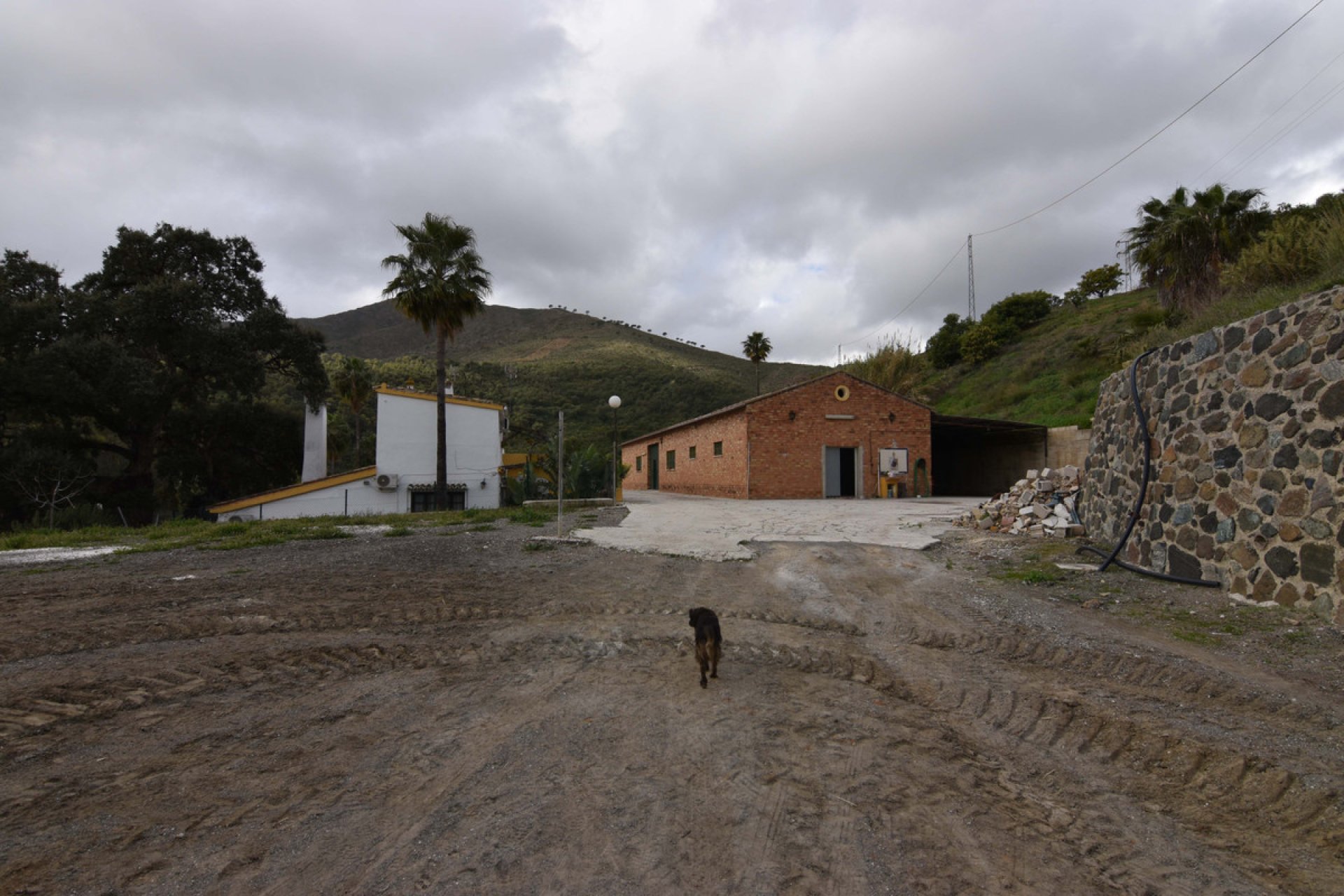 Resale - House - Finca - Cortijo - Mijas - Mijas Centro