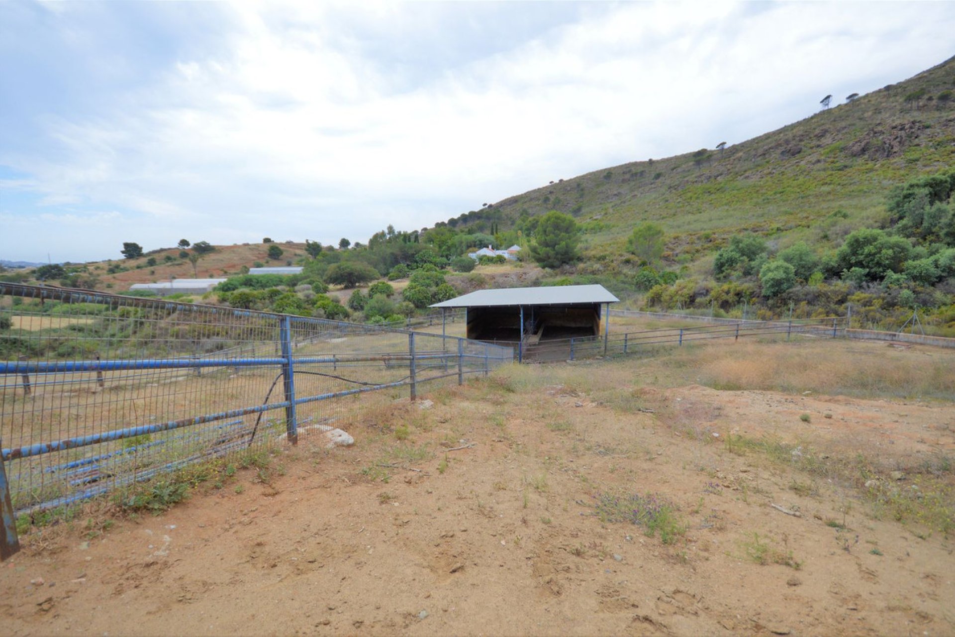 Resale - House - Finca - Cortijo - Mijas - Mijas Centro