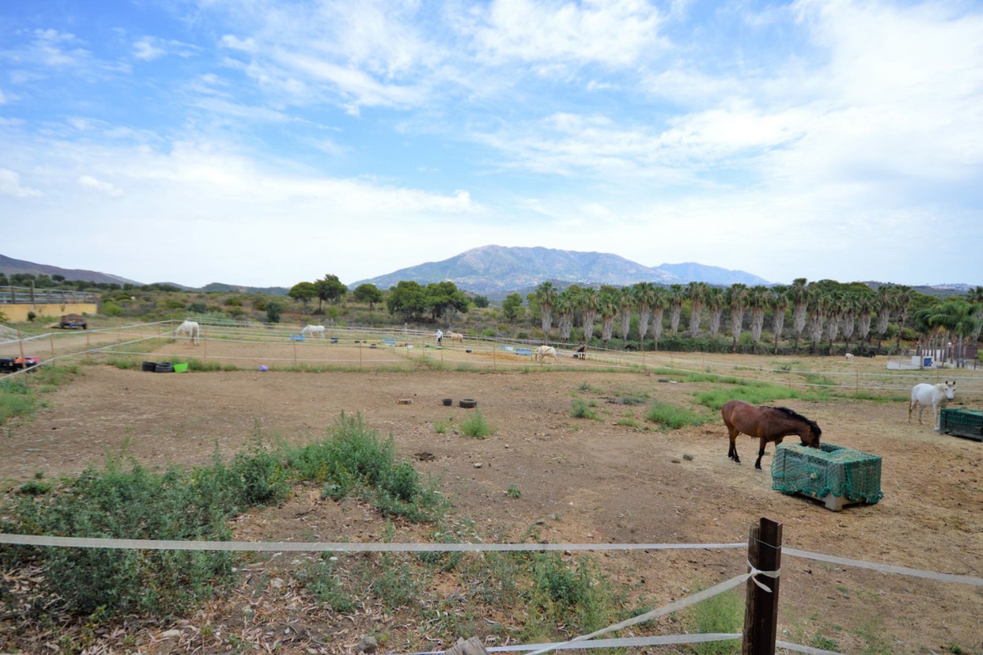 Resale - House - Finca - Cortijo - Mijas - Mijas Centro