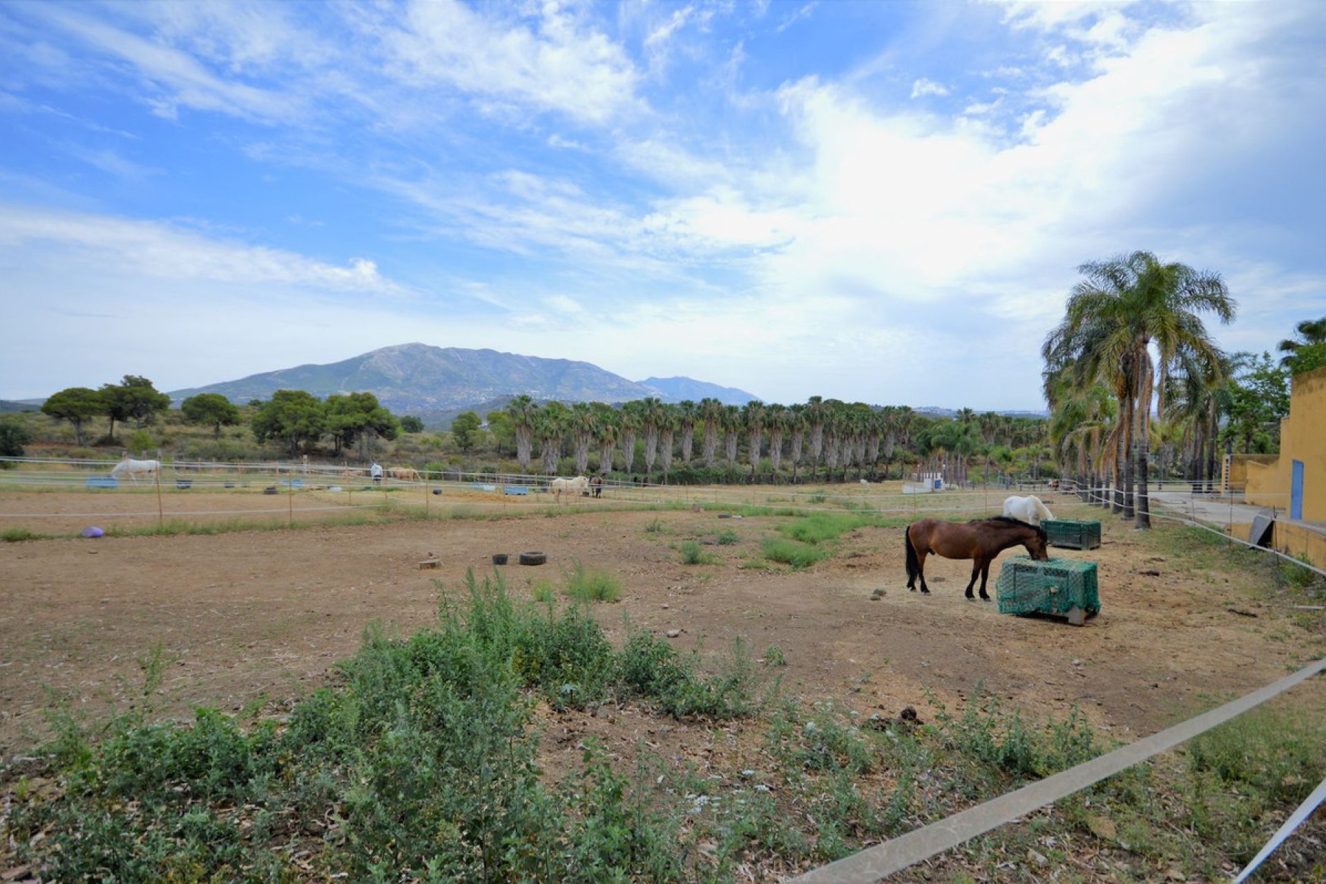 Resale - House - Finca - Cortijo - Mijas - Mijas Centro