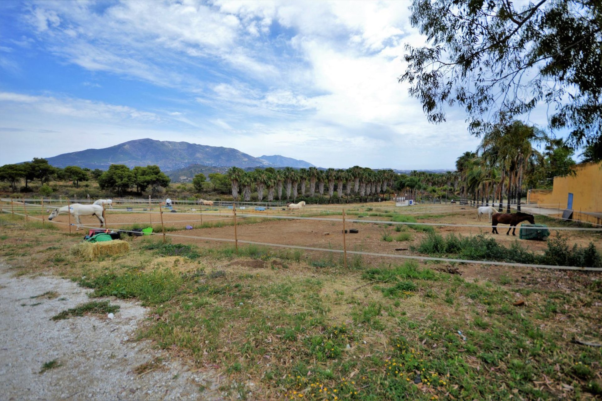 Resale - House - Finca - Cortijo - Mijas - Mijas Centro