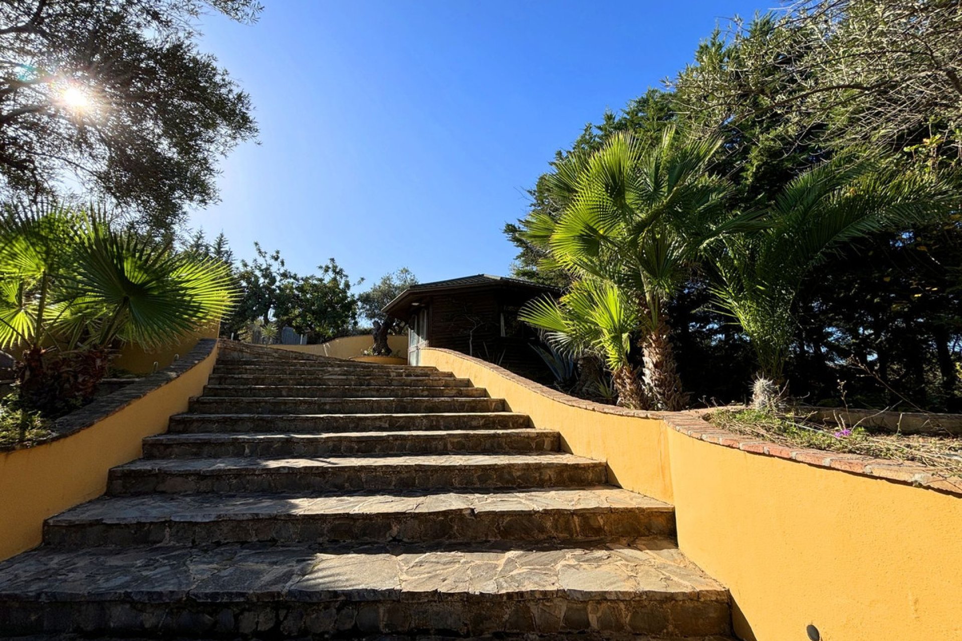 Resale - House - Monda