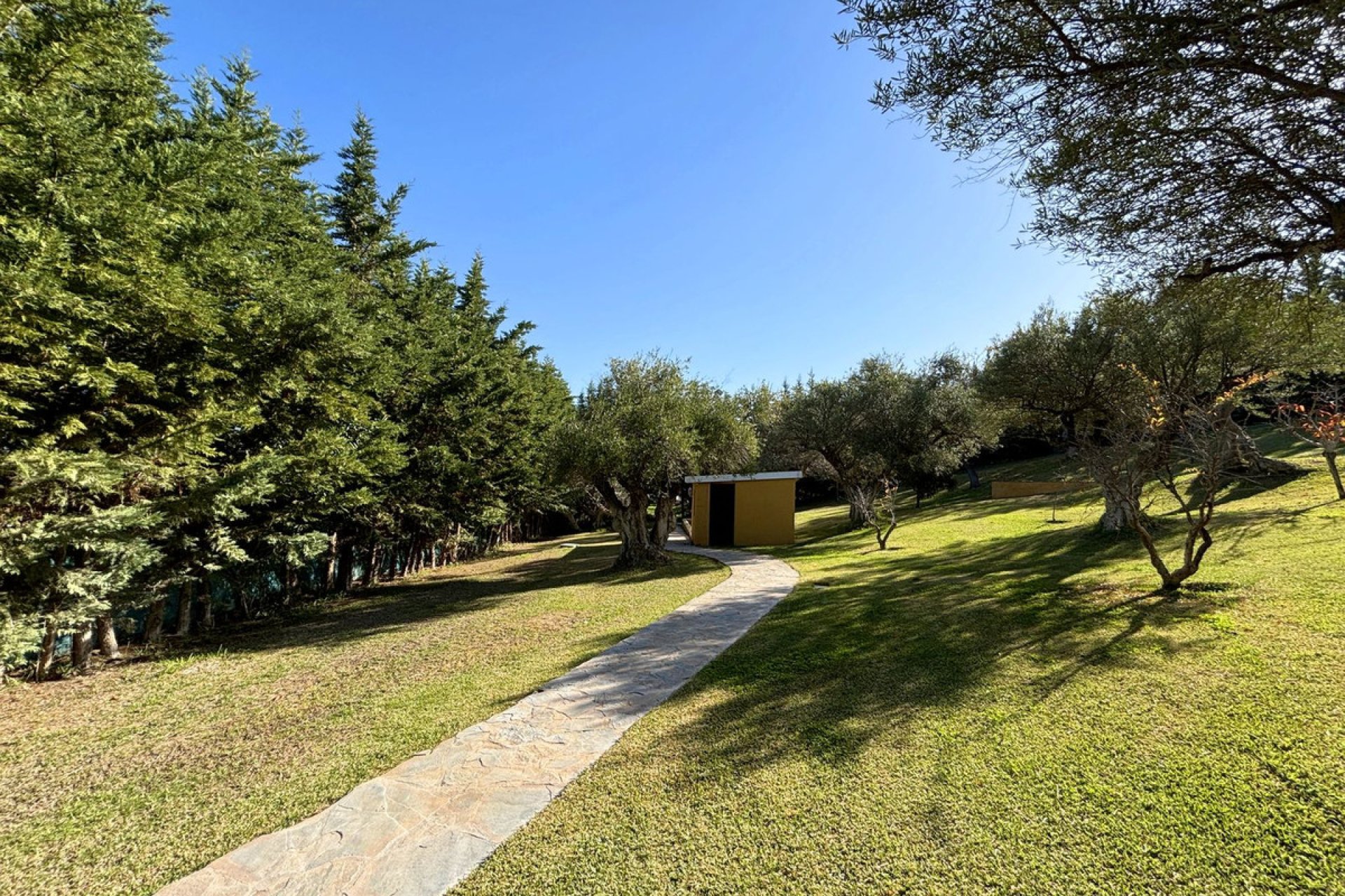 Resale - House - Monda