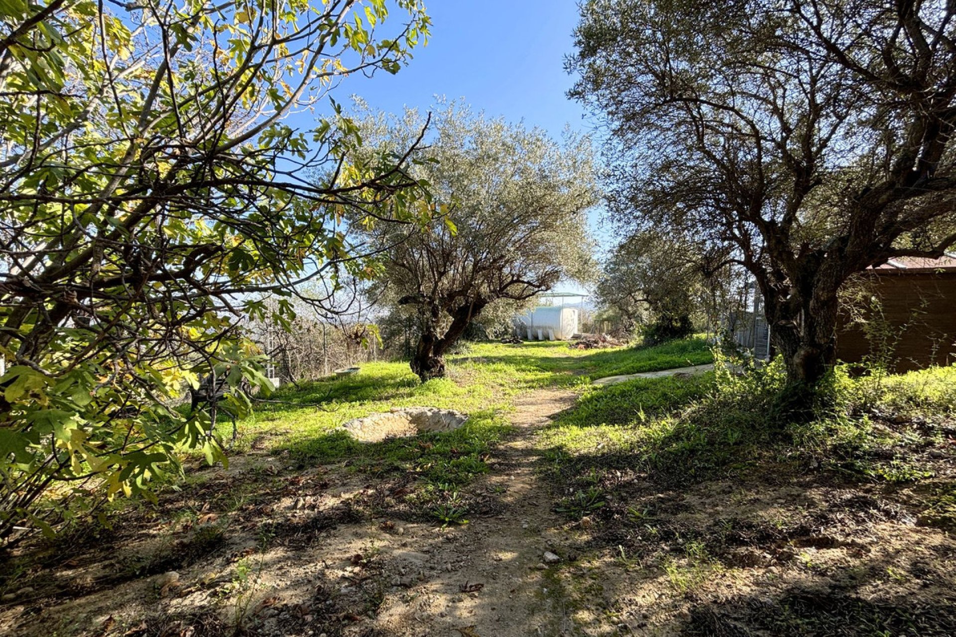 Resale - House - Monda