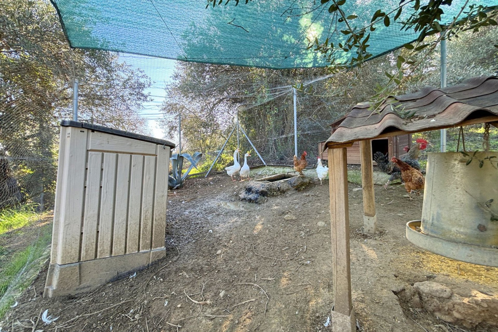 Resale - House - Monda