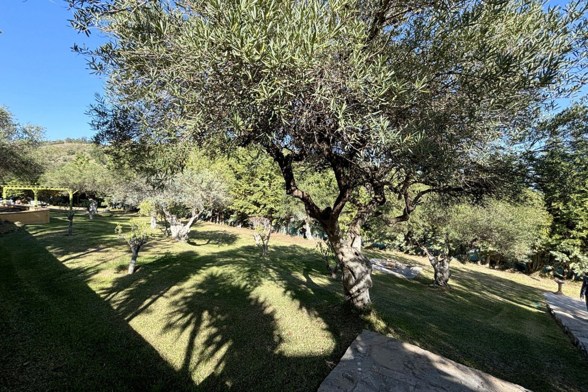 Resale - House - Monda