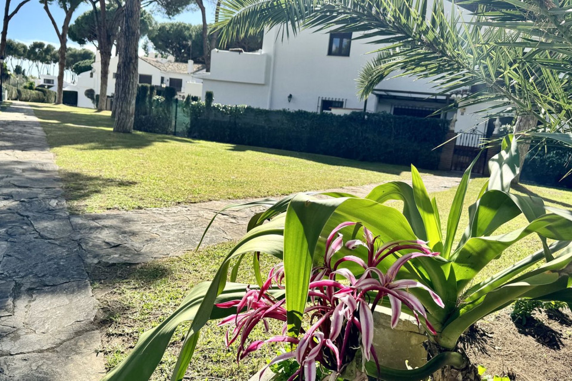 Resale - House - Semi-Detached House - Estepona - Benamara