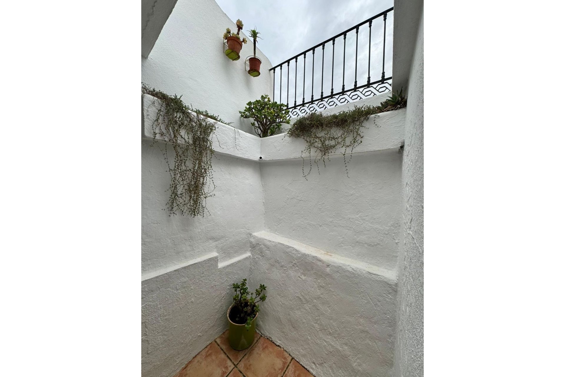 Resale - House - Semi-Detached House - Marbella - Cabopino