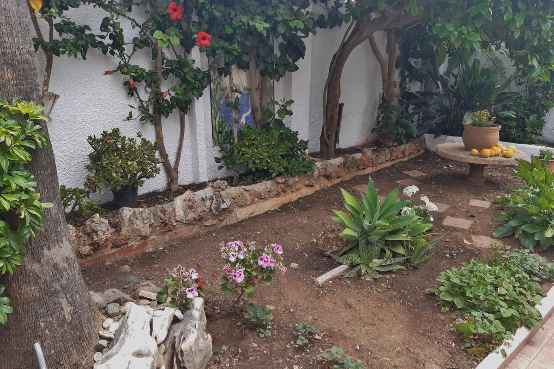 Resale - House - Semi-Detached House - Marbella - El Rosario