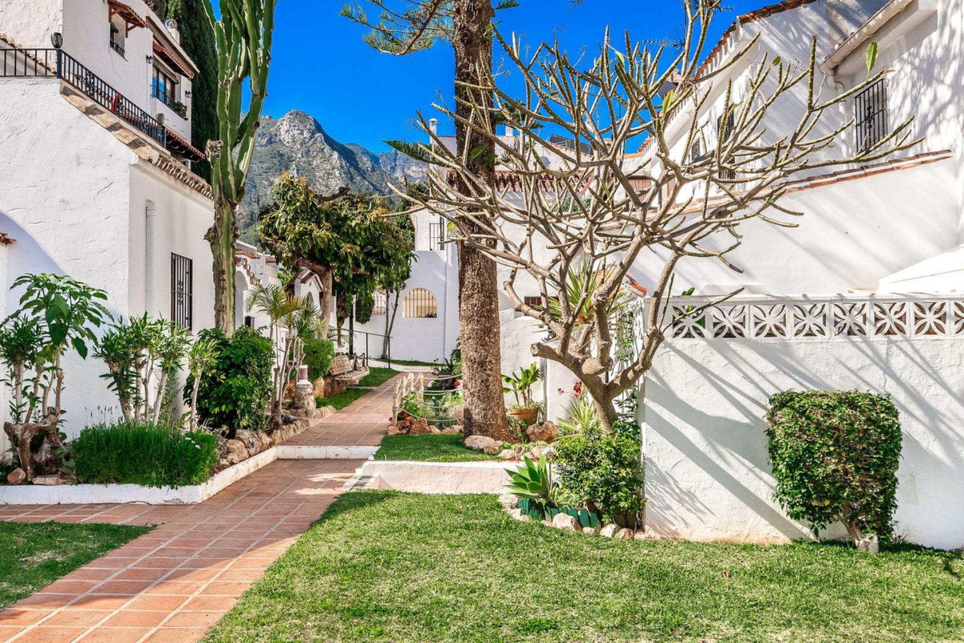 Resale - House - Semi-Detached House - Marbella - Marbella Centro