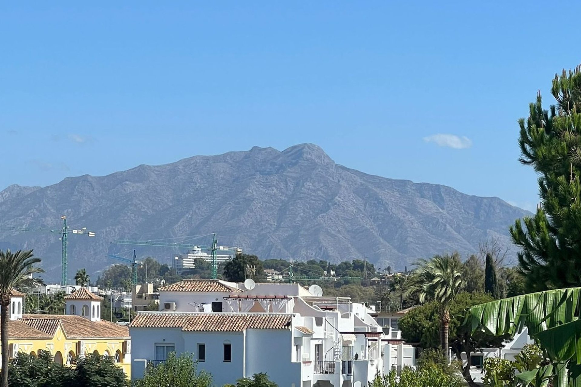 Resale - House - Townhouse - Estepona - Estepona Centro