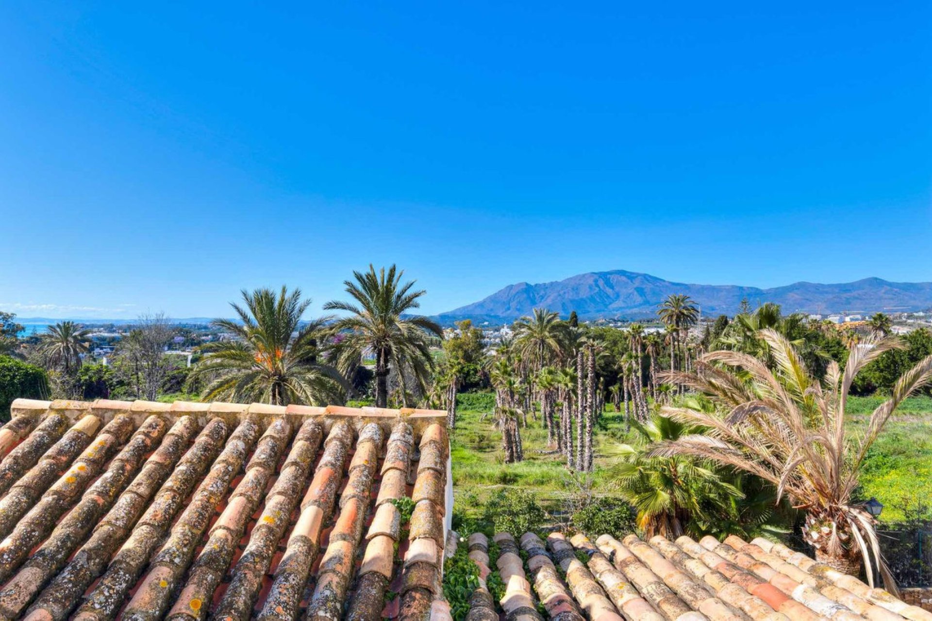 Resale - House - Townhouse - Estepona - Estepona Centro