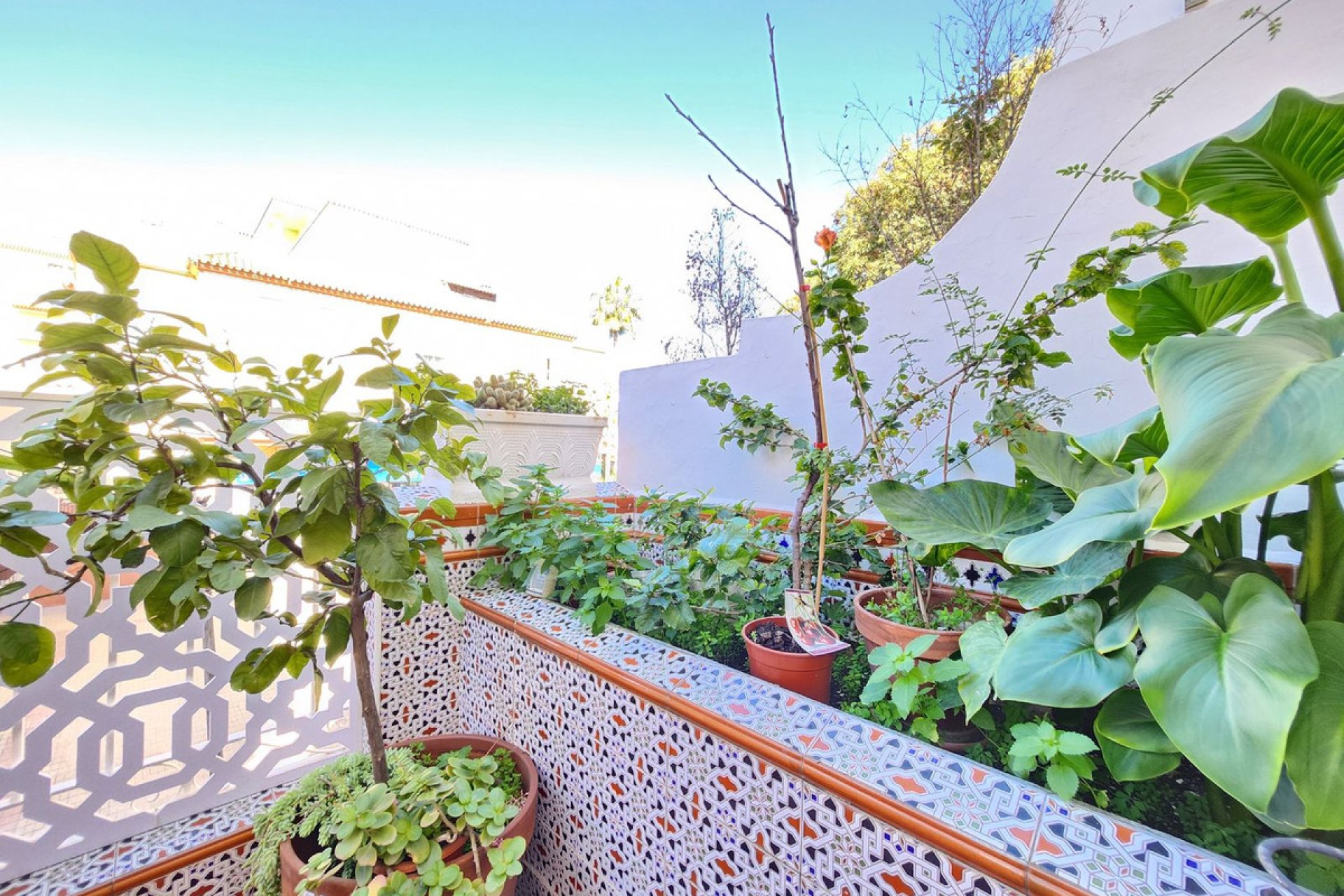 Resale - House - Townhouse - Estepona - Estepona Centro