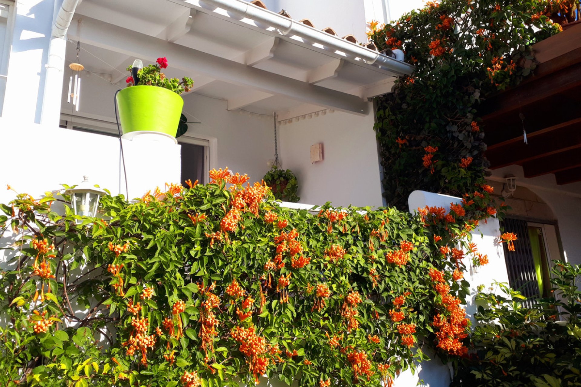 Resale - House - Townhouse - Marbella - Reserva de Marbella