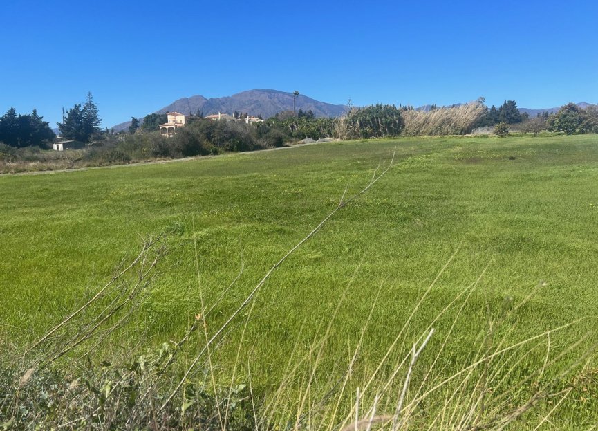 Resale - Plot - Commercial Plot - Estepona - Estepona Centro