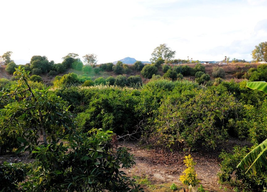 Resale - Plot - Commercial Plot - Marbella - San Pedro De Alcantara