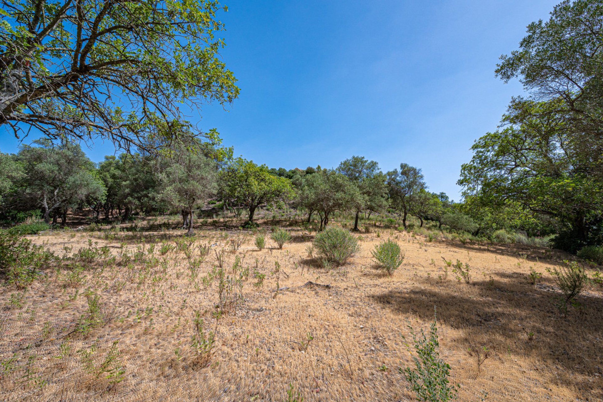 Resale - Plot - Land - Benahavís - La Zagaleta