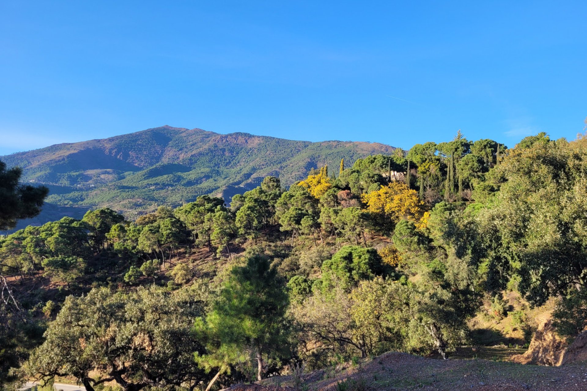 Resale - Plot - Land - Benahavís - La Zagaleta