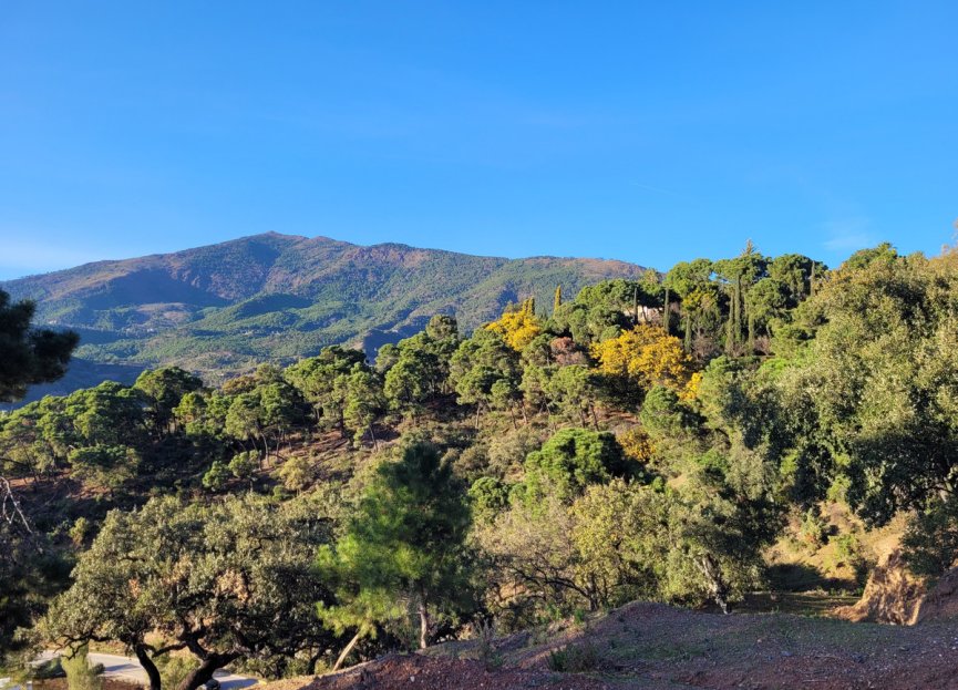 Resale - Plot - Land - Benahavís - La Zagaleta