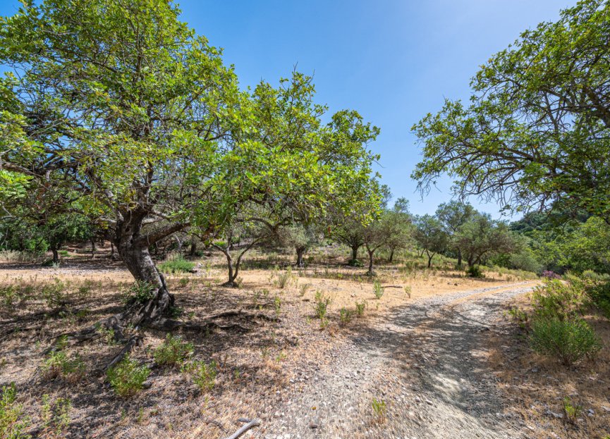 Resale - Plot - Land - Benahavís - La Zagaleta