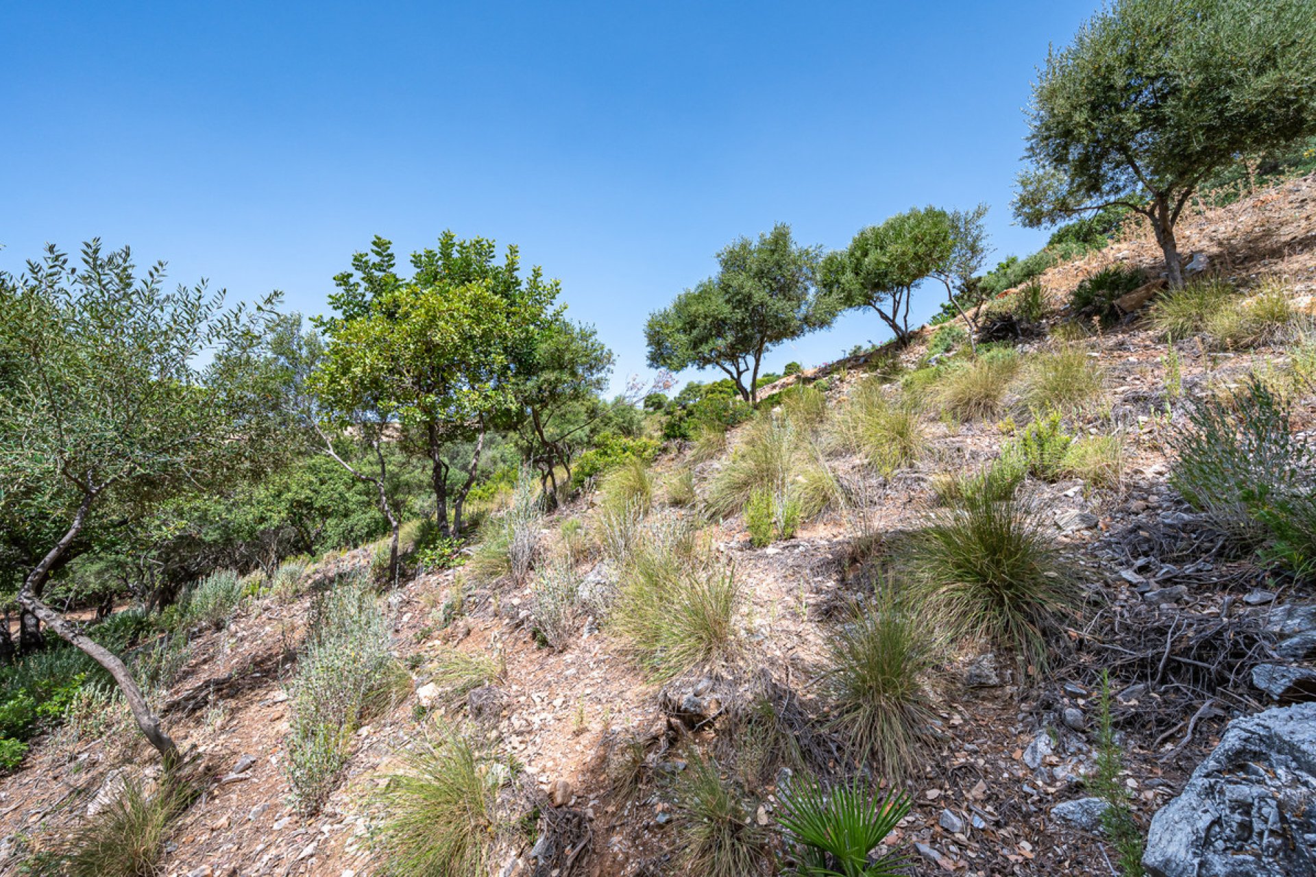 Resale - Plot - Land - Benahavís - La Zagaleta