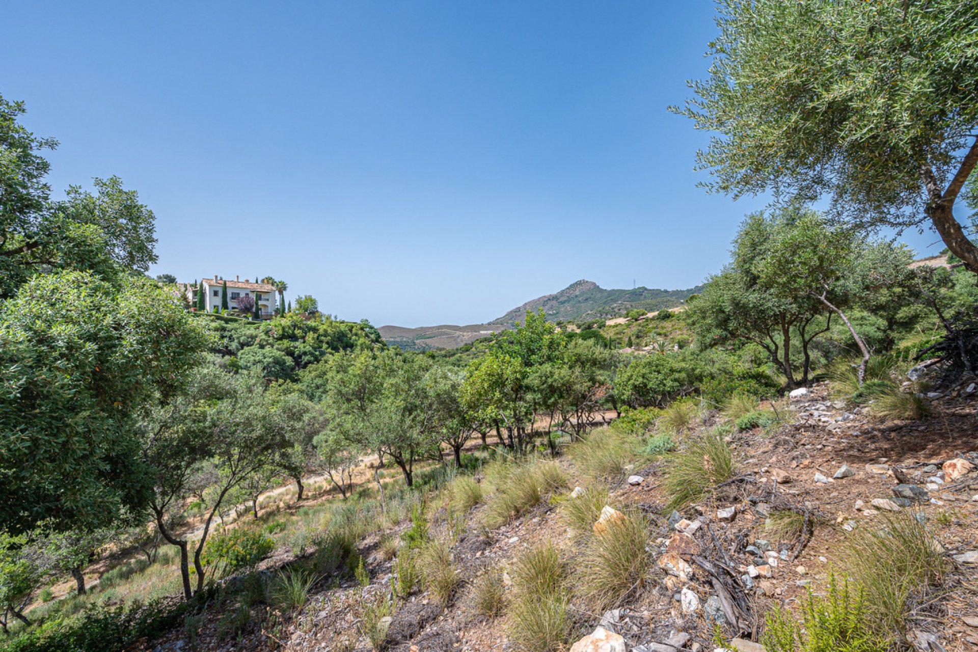 Resale - Plot - Land - Benahavís - La Zagaleta