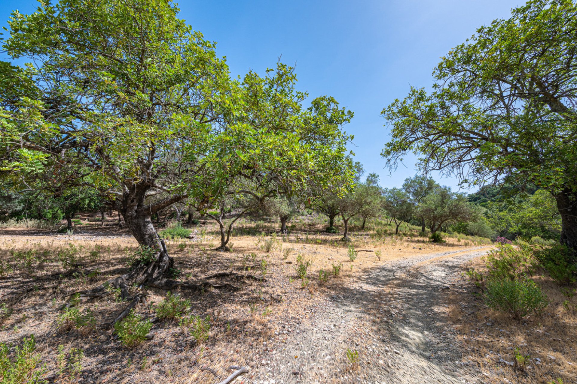 Resale - Plot - Land - Benahavís - La Zagaleta