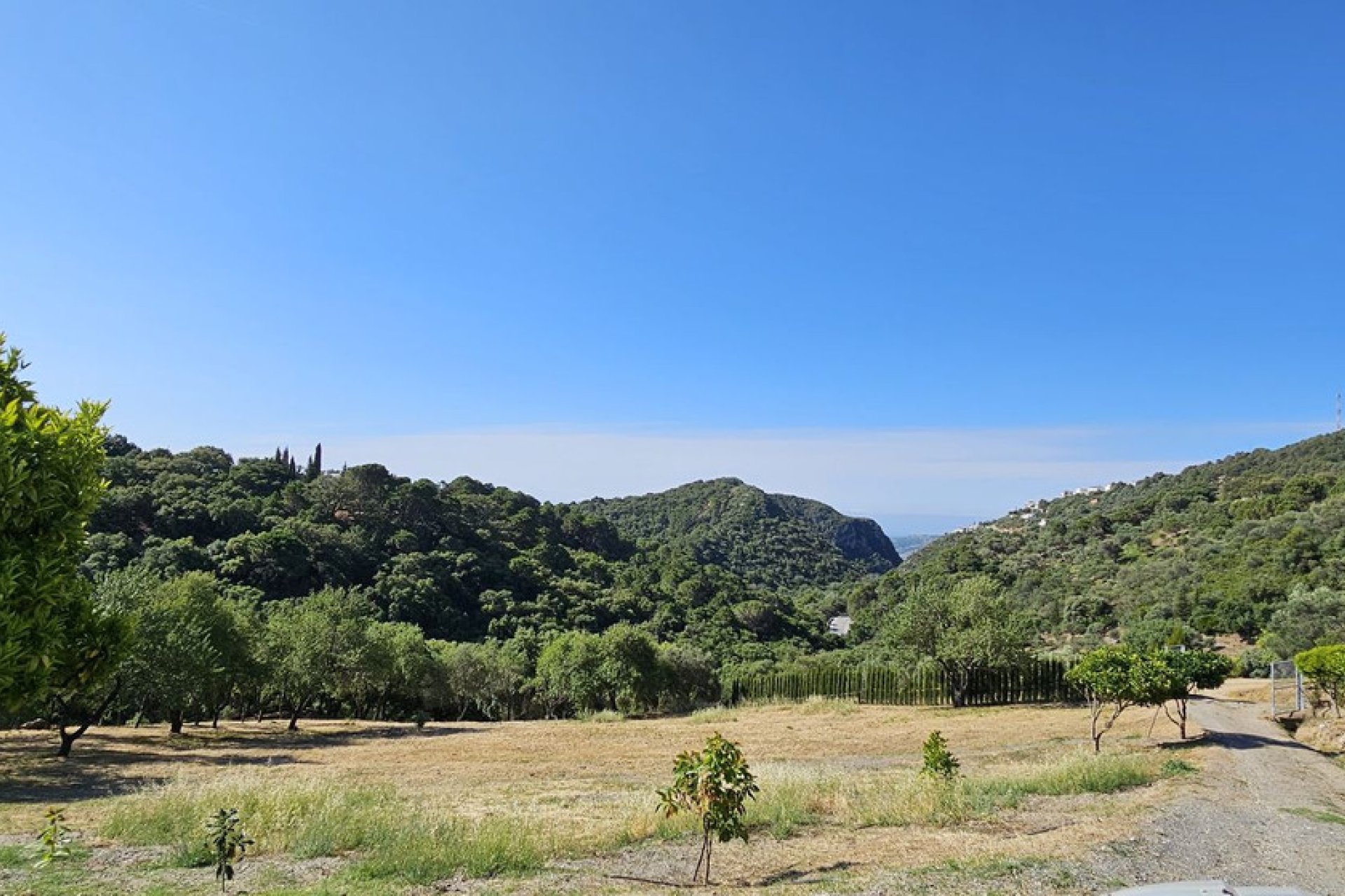 Resale - Plot - Land - Casares - Casares Centro