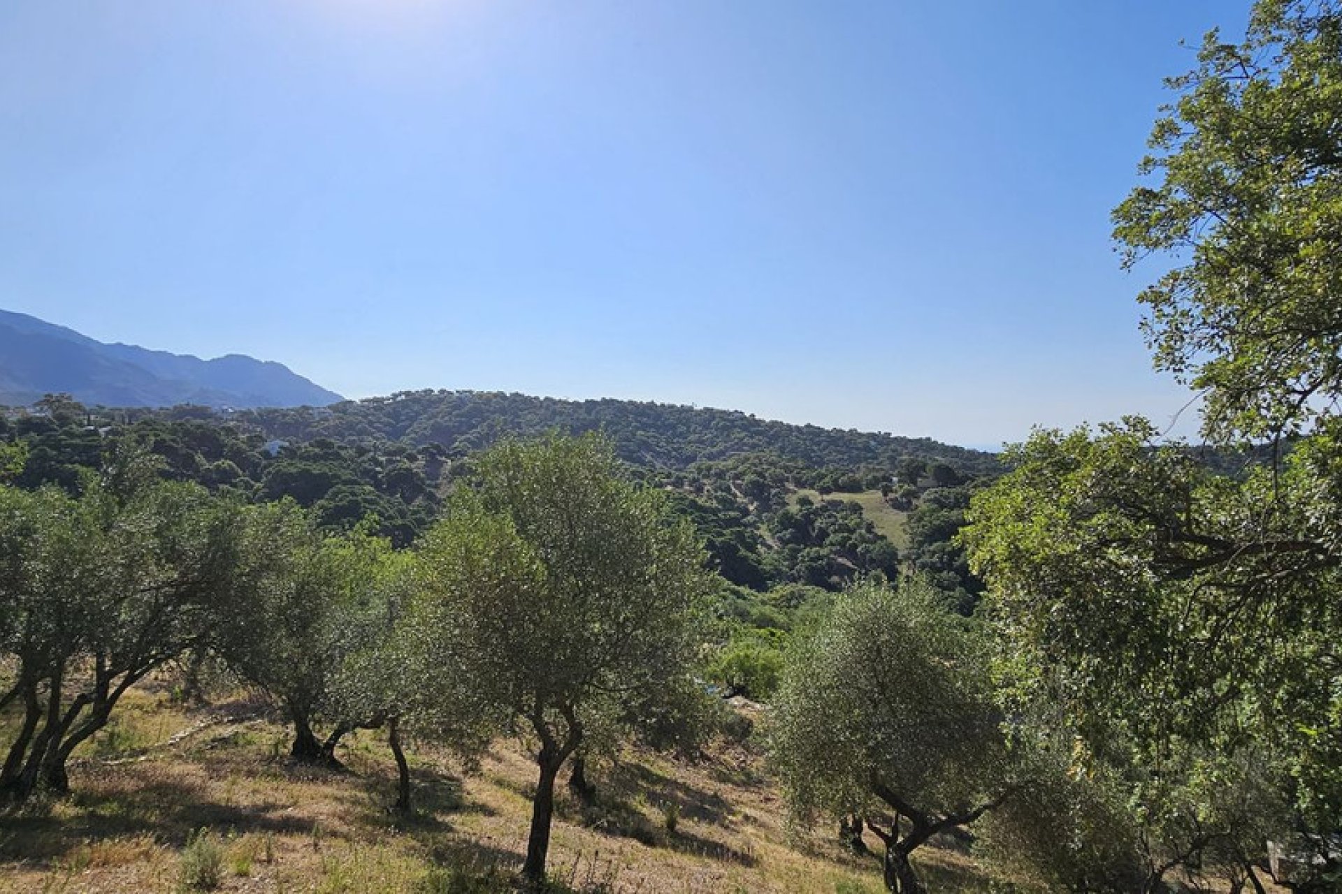 Resale - Plot - Land - Casares - Casares Centro