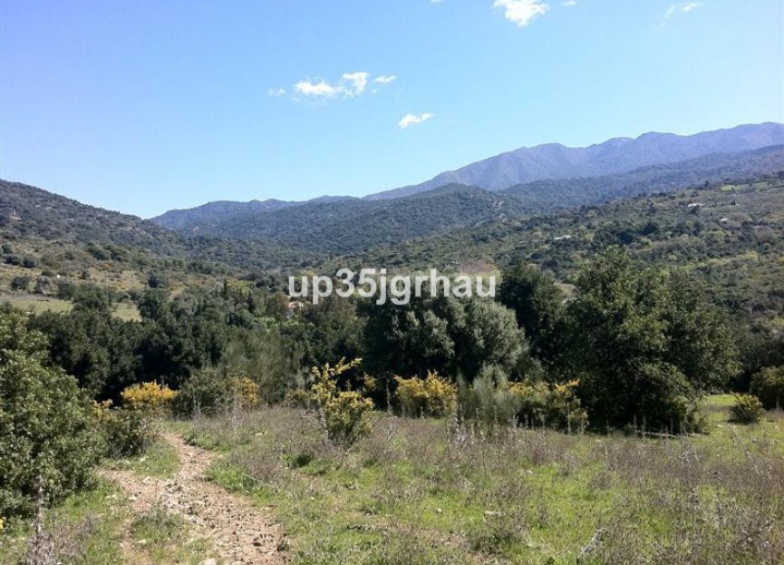 Resale - Plot - Land - Casares - Casares Centro