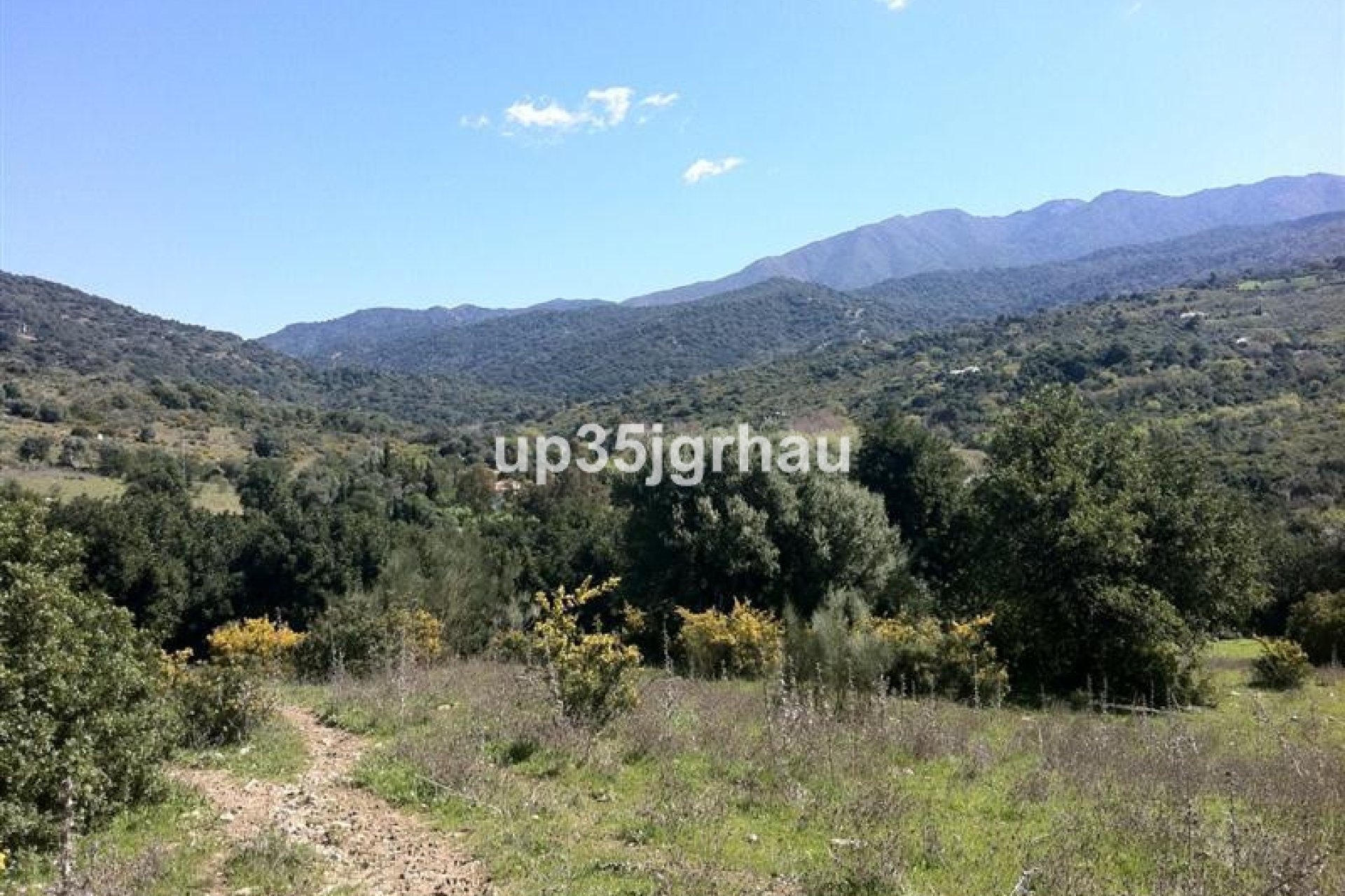 Resale - Plot - Land - Casares - Casares Centro