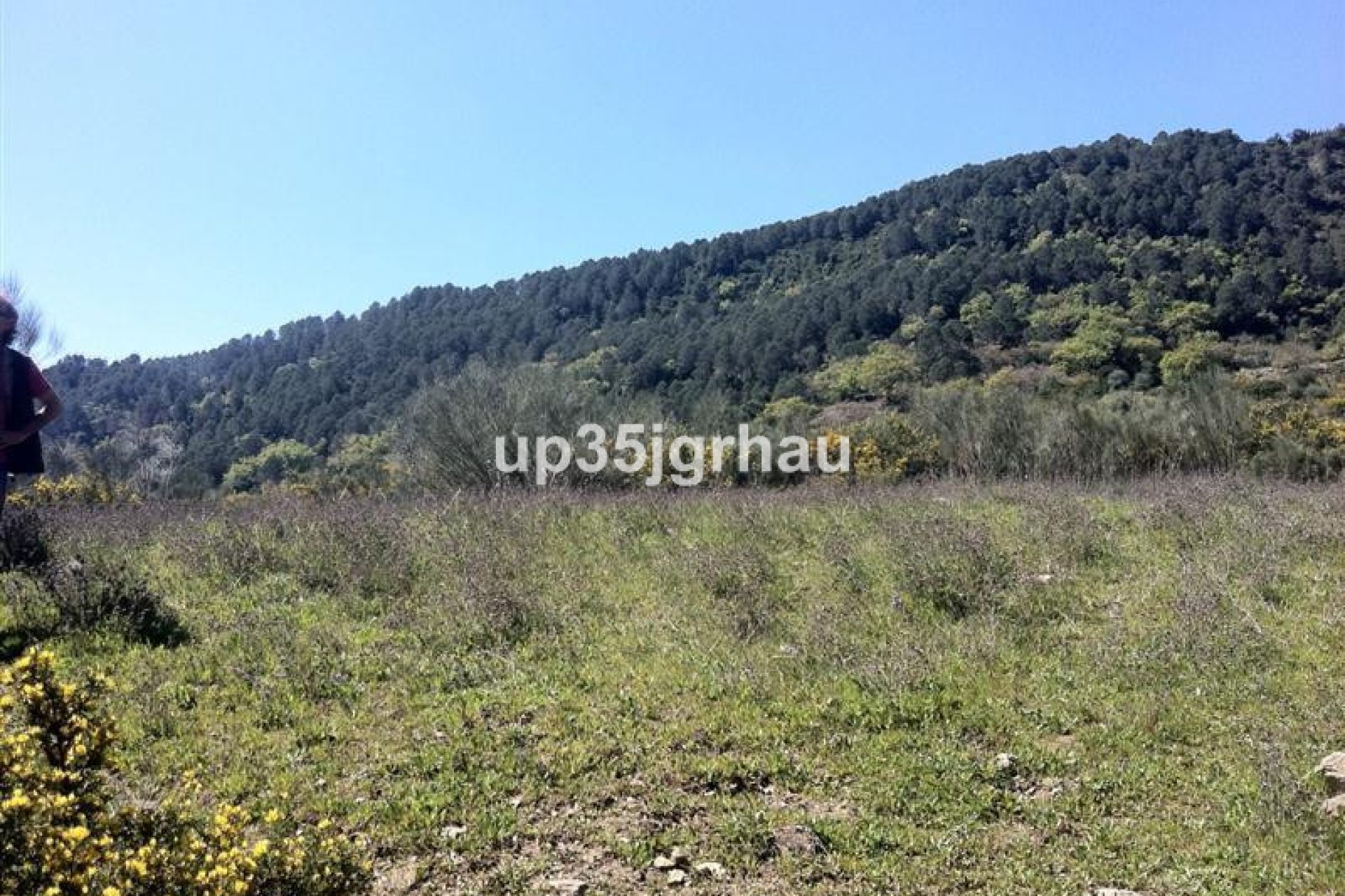 Resale - Plot - Land - Casares - Casares Centro