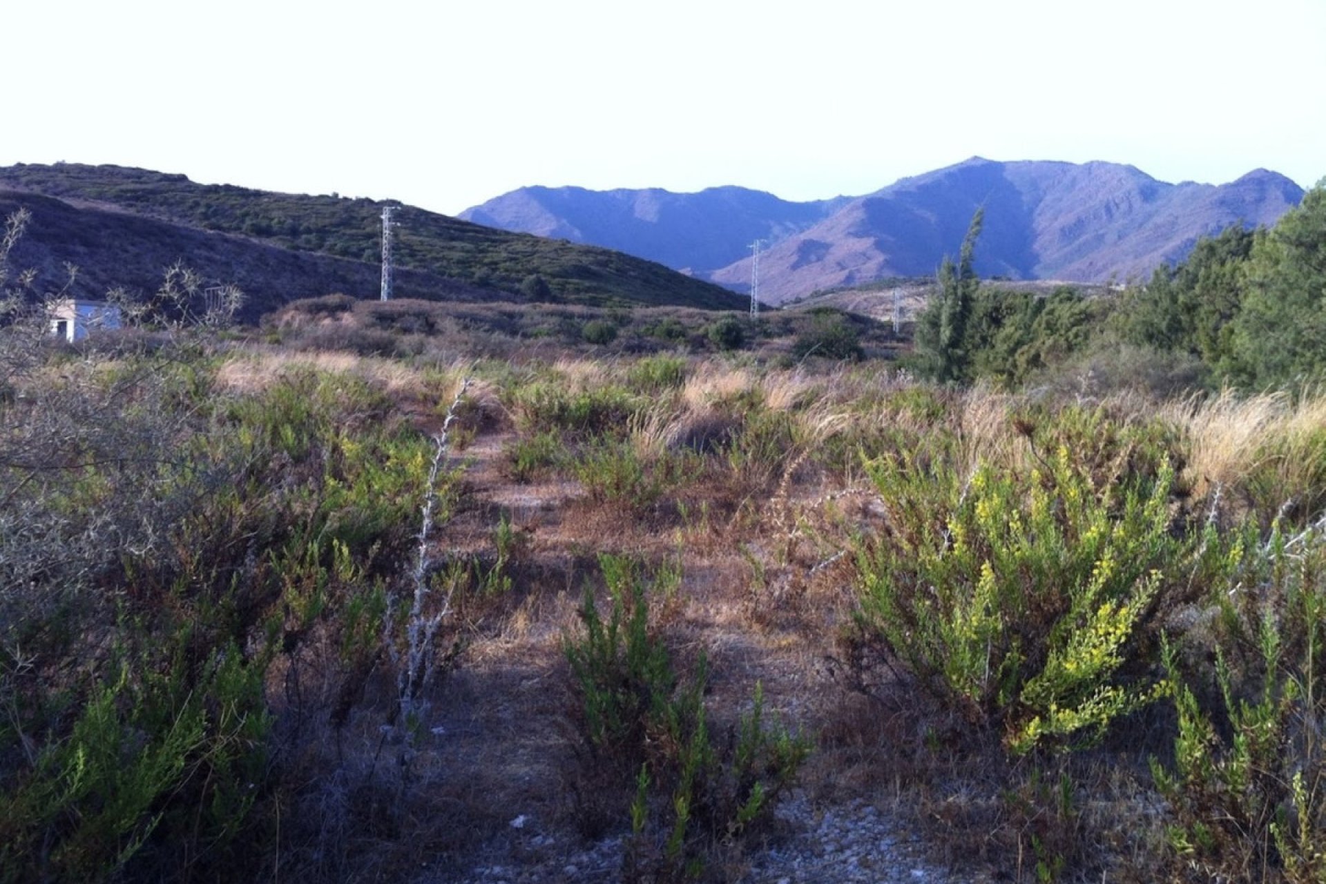 Resale - Plot - Land - Casares - Casares Centro