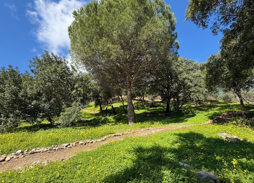 Resale - Plot - Land - Casares - Casares Centro