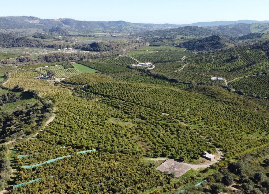 Resale - Plot - Land - Casares - Casares Centro