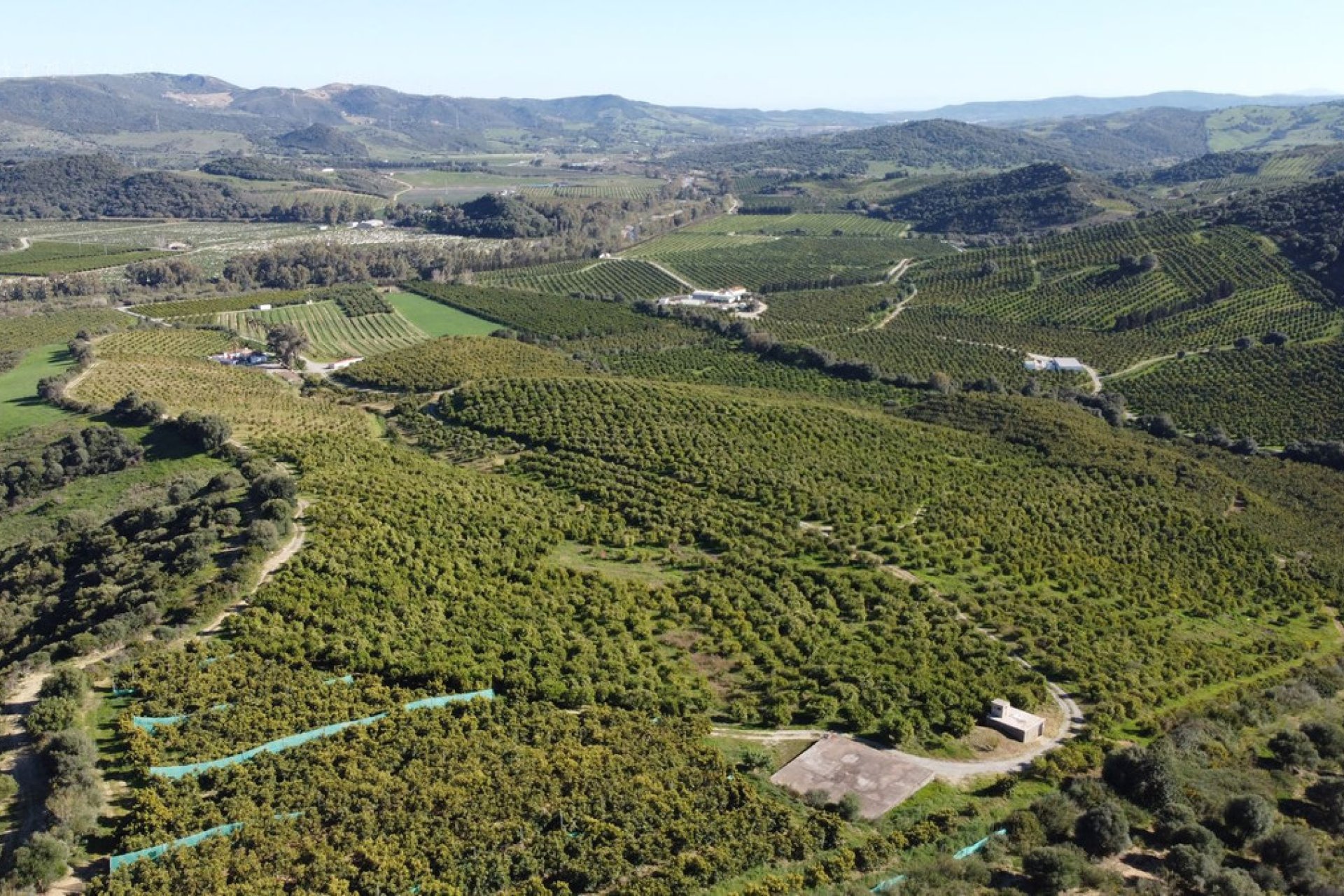 Resale - Plot - Land - Casares - Casares Centro