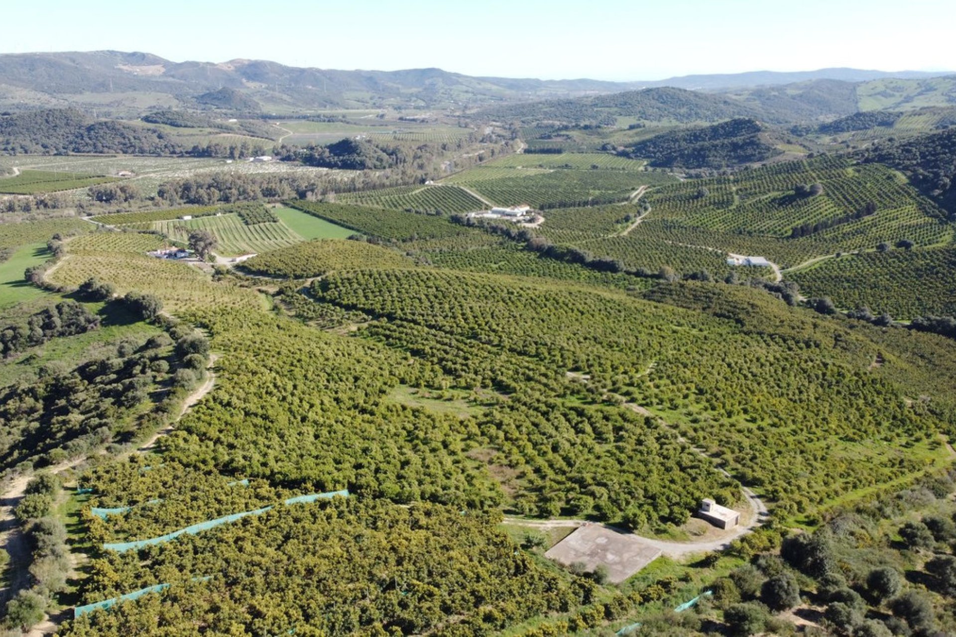 Resale - Plot - Land - Casares - Casares Centro