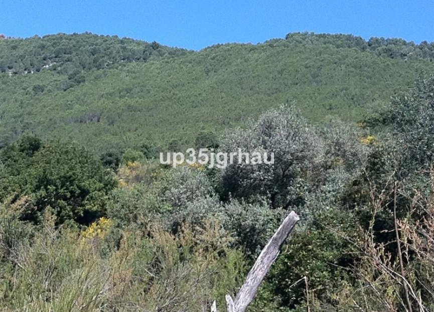 Resale - Plot - Land - Casares - Casares Centro