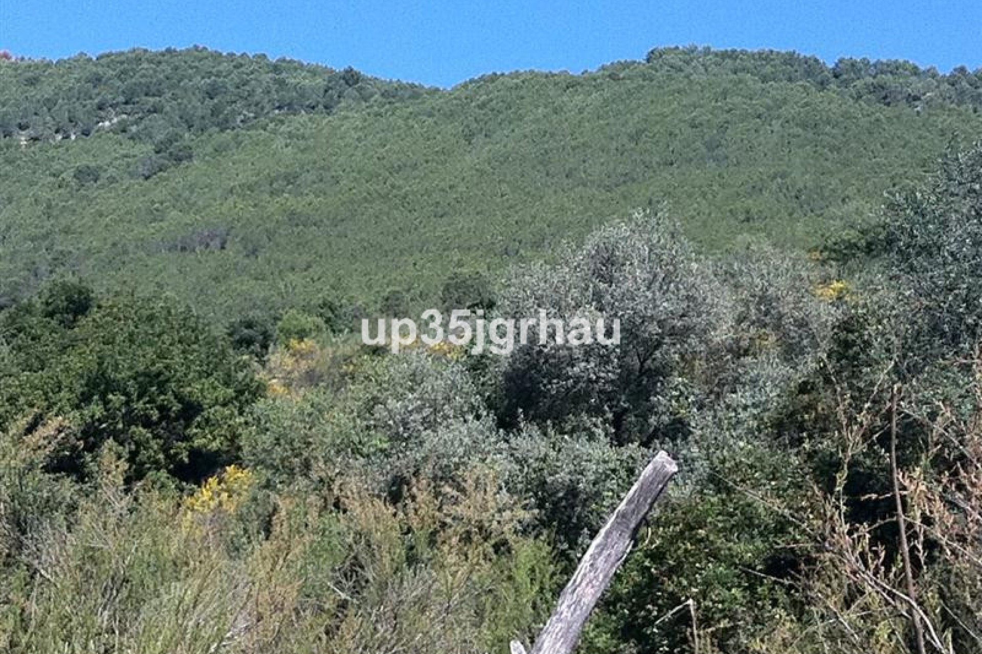 Resale - Plot - Land - Casares - Casares Centro