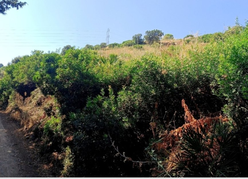 Resale - Plot - Land - Estepona - Estepona Centro