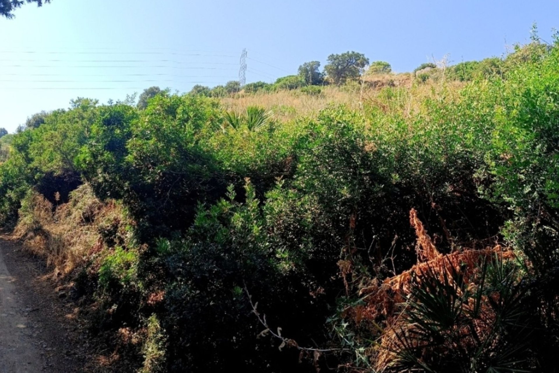 Resale - Plot - Land - Estepona - Estepona Centro