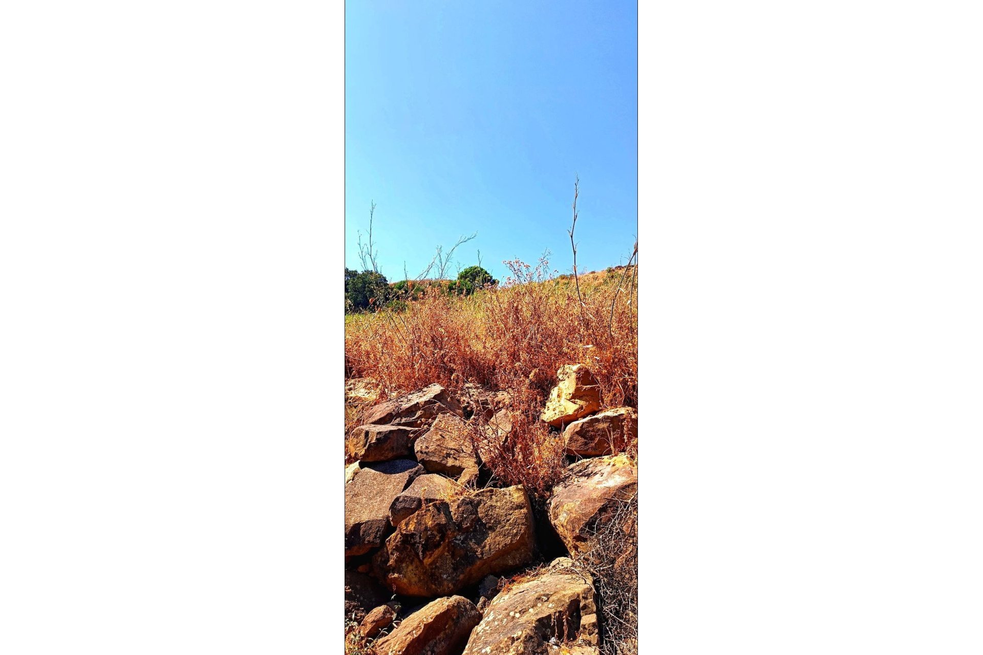 Resale - Plot - Land - Estepona - Estepona Centro