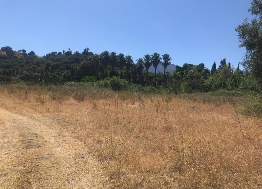 Resale - Plot - Land - Estepona - Estepona Centro