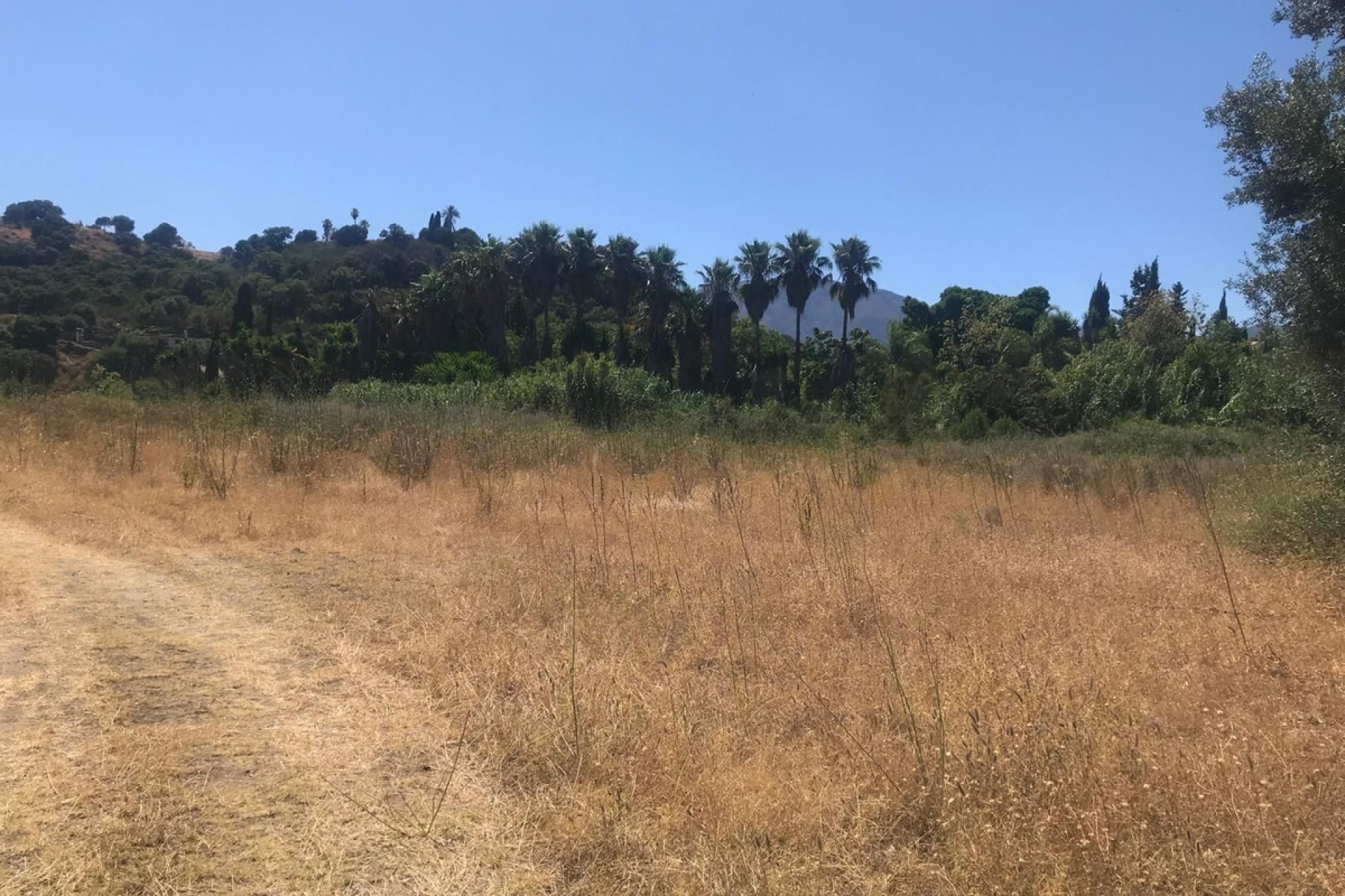 Resale - Plot - Land - Estepona - Estepona Centro