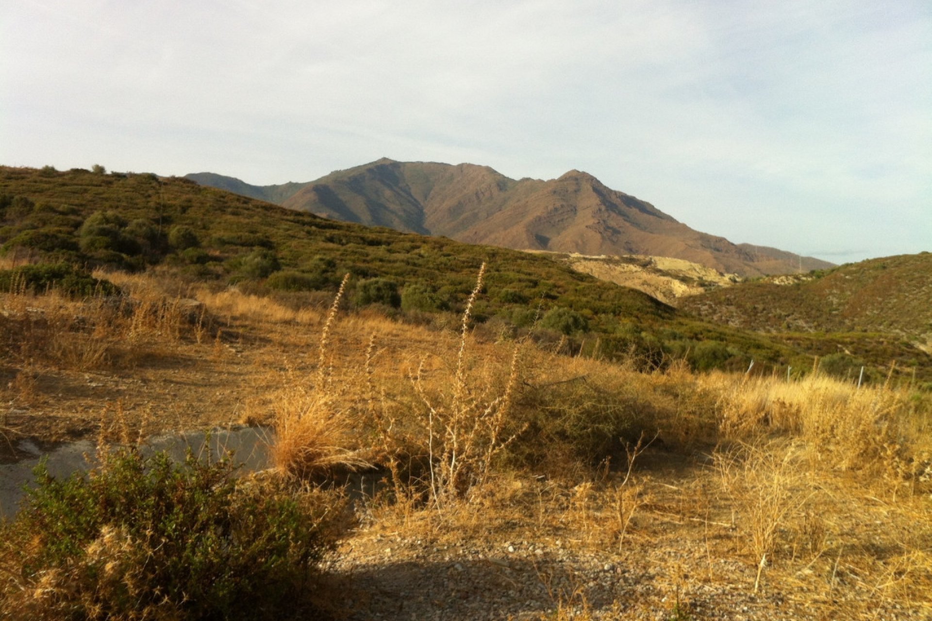 Resale - Plot - Land - Estepona - Estepona Centro