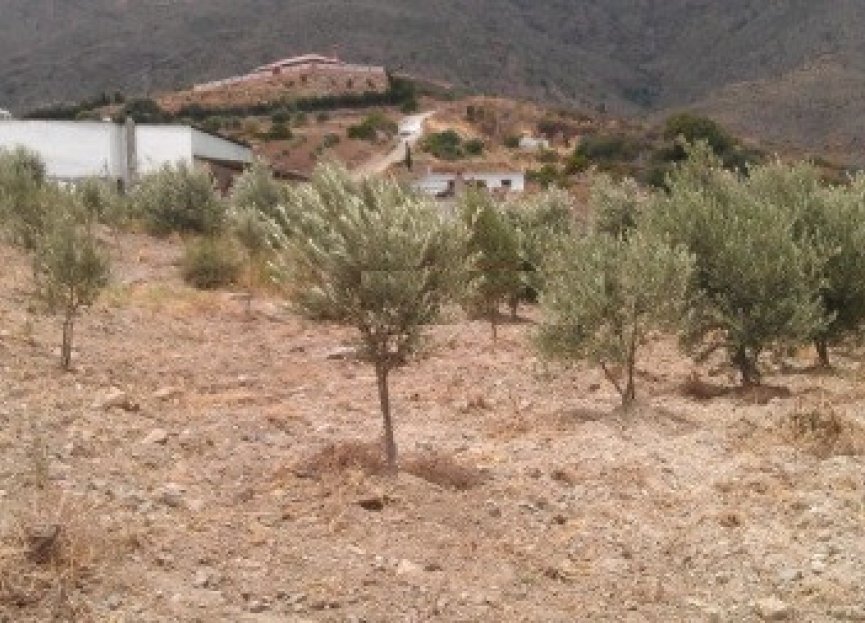 Resale - Plot - Land - Estepona - Estepona Centro