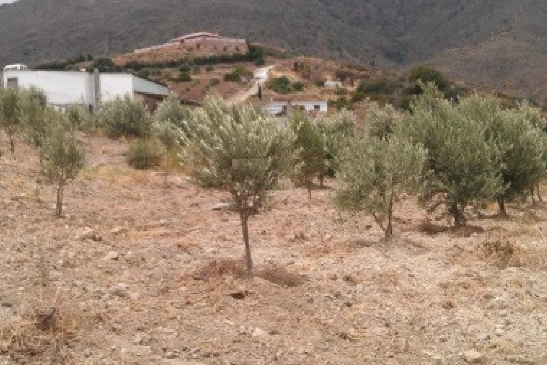 Resale - Plot - Land - Estepona - Estepona Centro