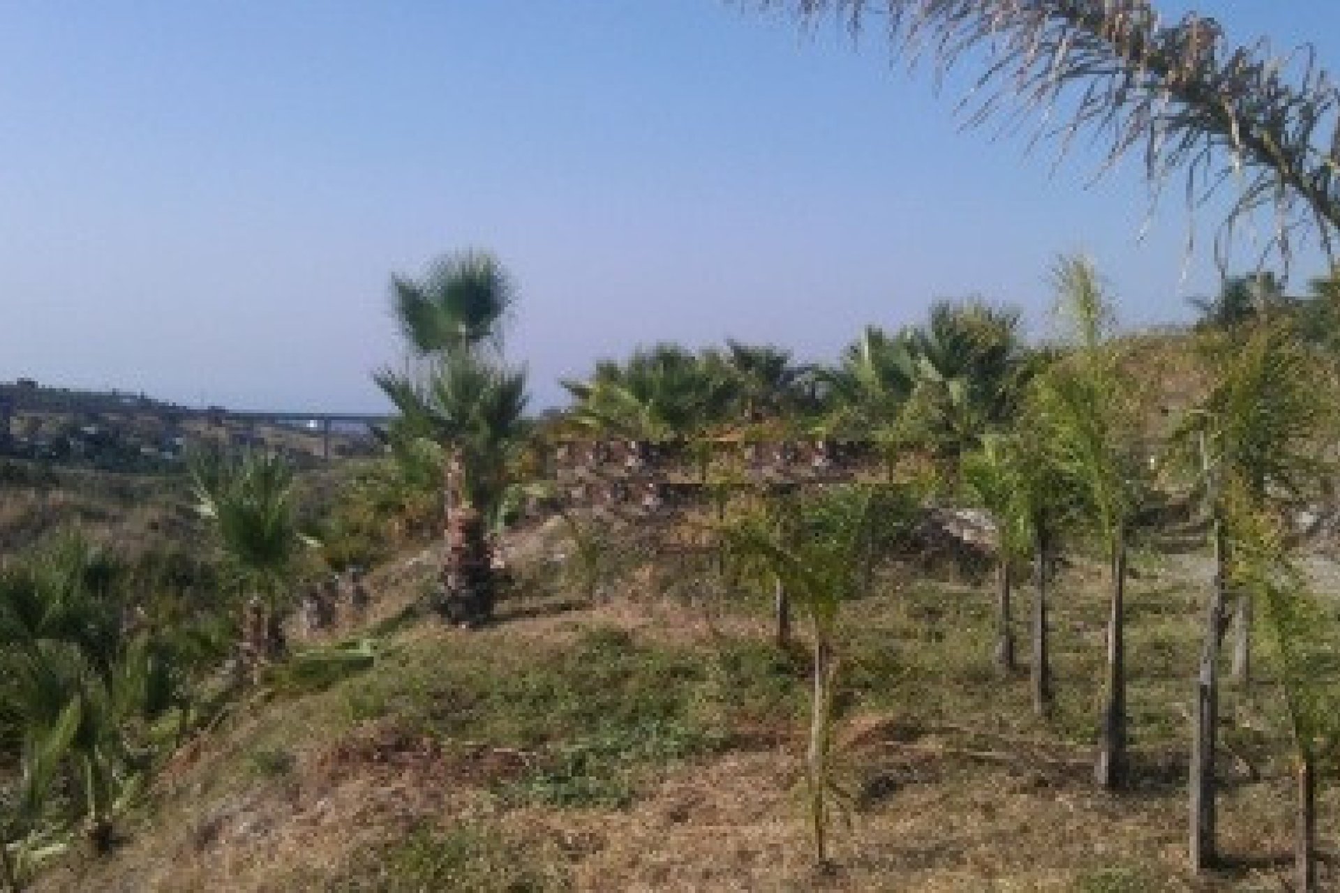 Resale - Plot - Land - Estepona - Estepona Centro